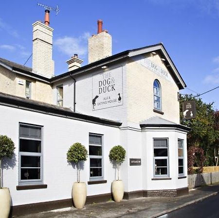 The Dog And Duck Suffolk Apartment Woodbridge Ngoại thất bức ảnh